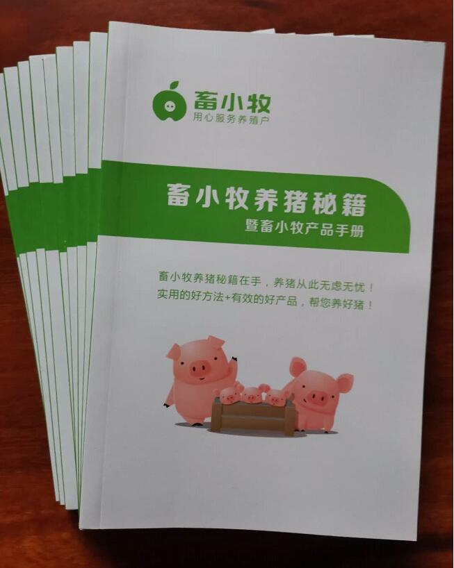 畜小牧养猪秘籍 免费领取