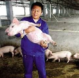 李良福头像
